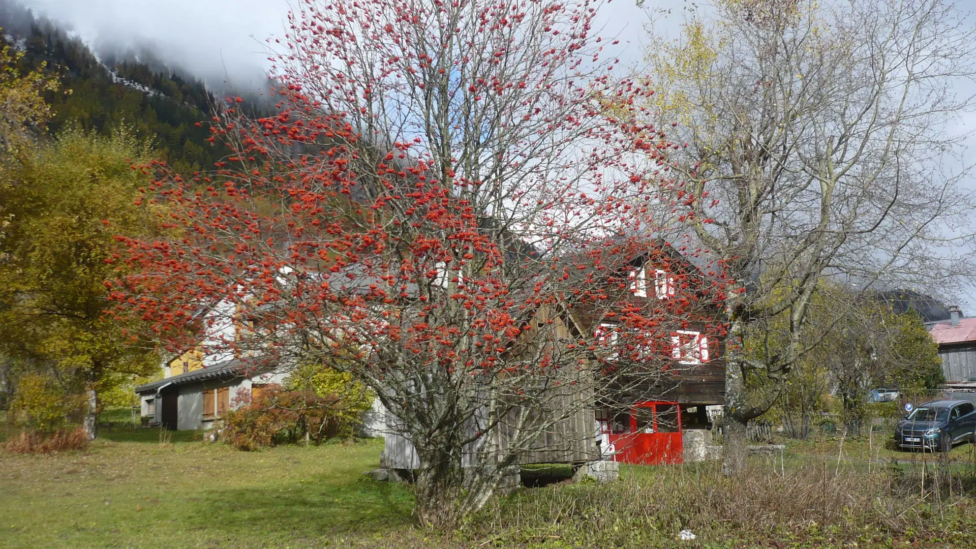 extérieur
