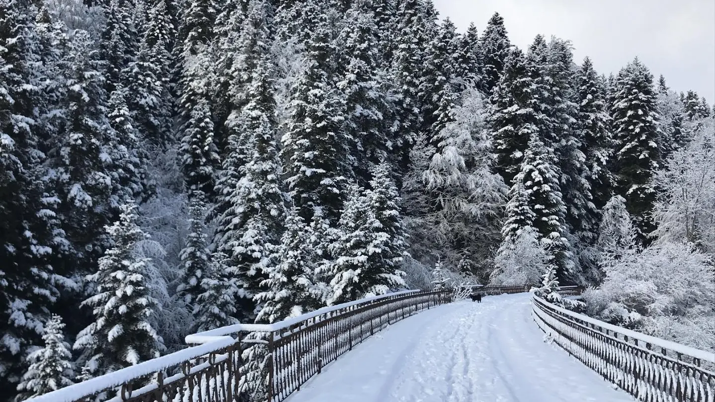 Viaduc des Peux