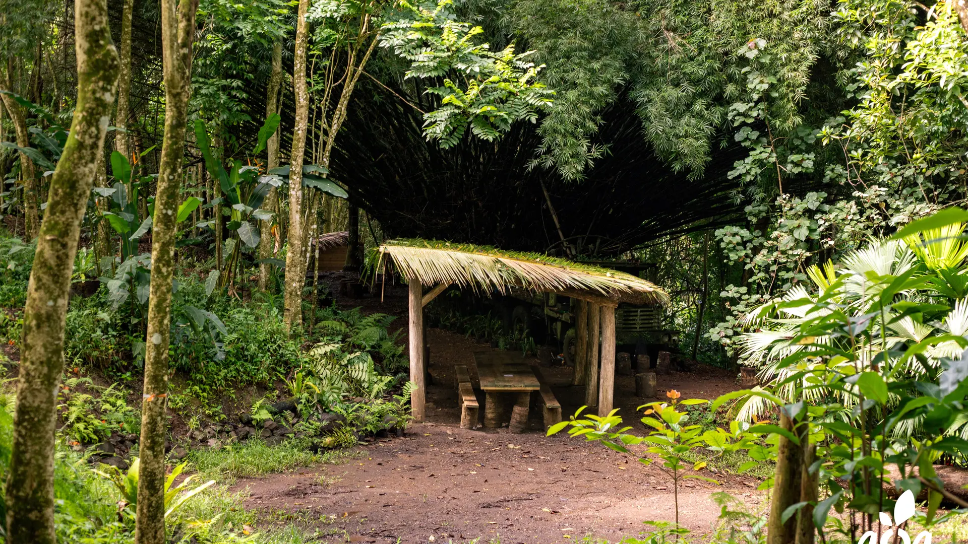 Aire de repos au coeur de la forêt