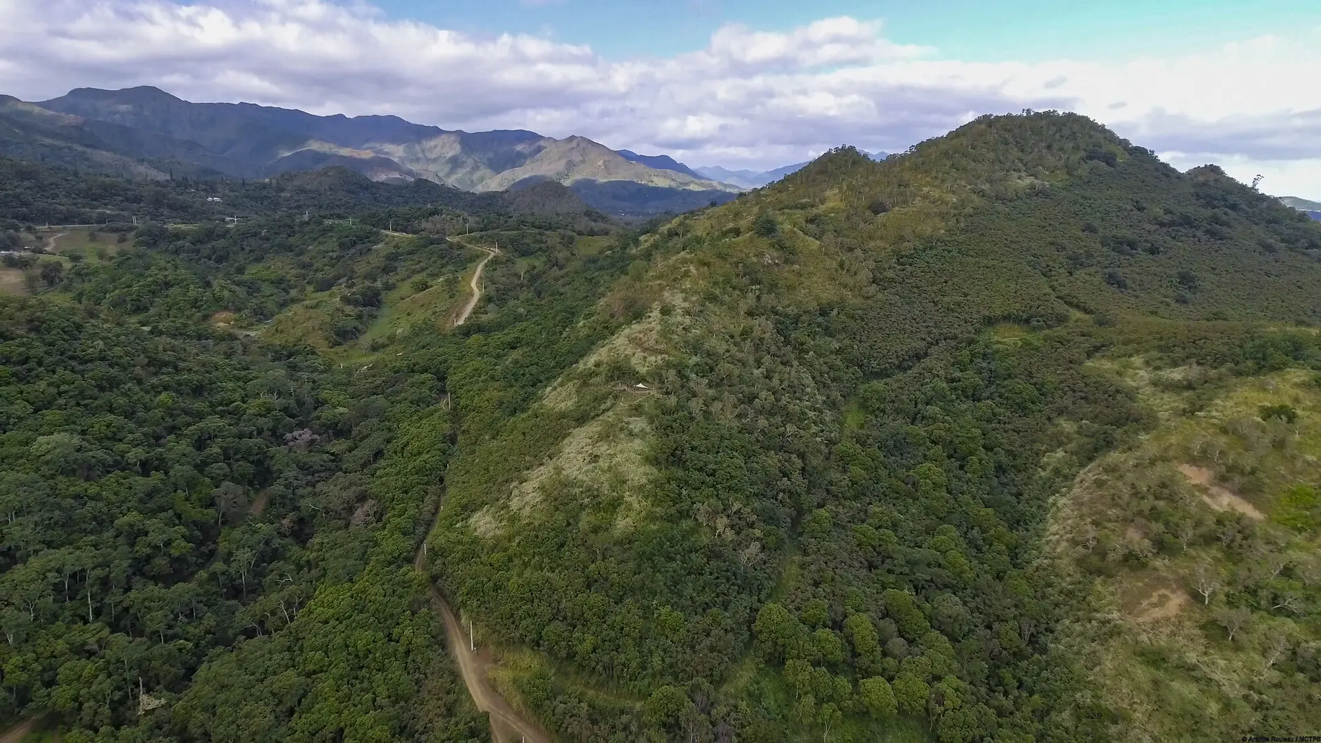 Tyrolienne - La Belle Verte Canopy Tours