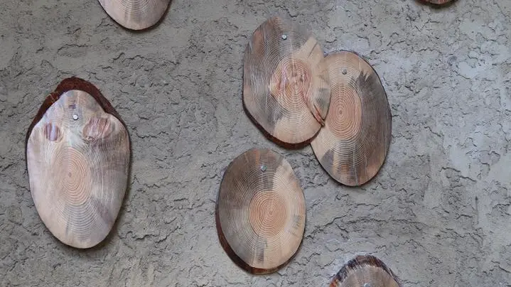 2021 Camille Orlandini