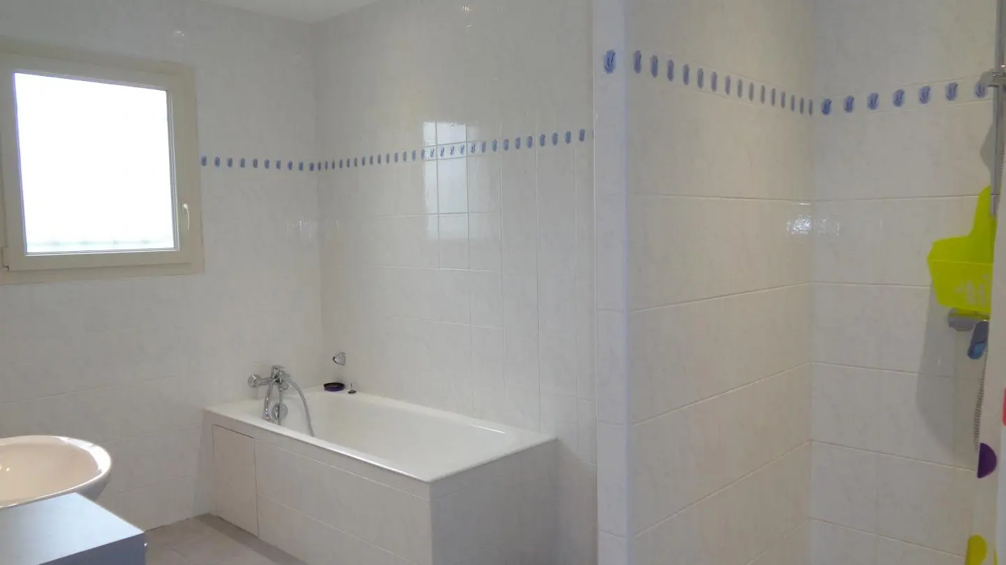 Salle d'eau avec douche et baignoire.