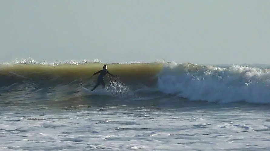 École de surf