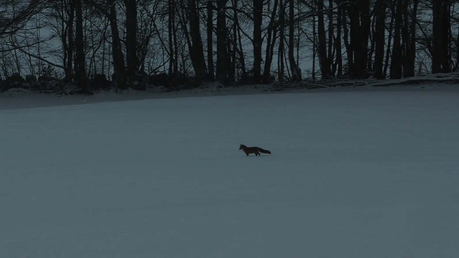 La Ferme des Taillis