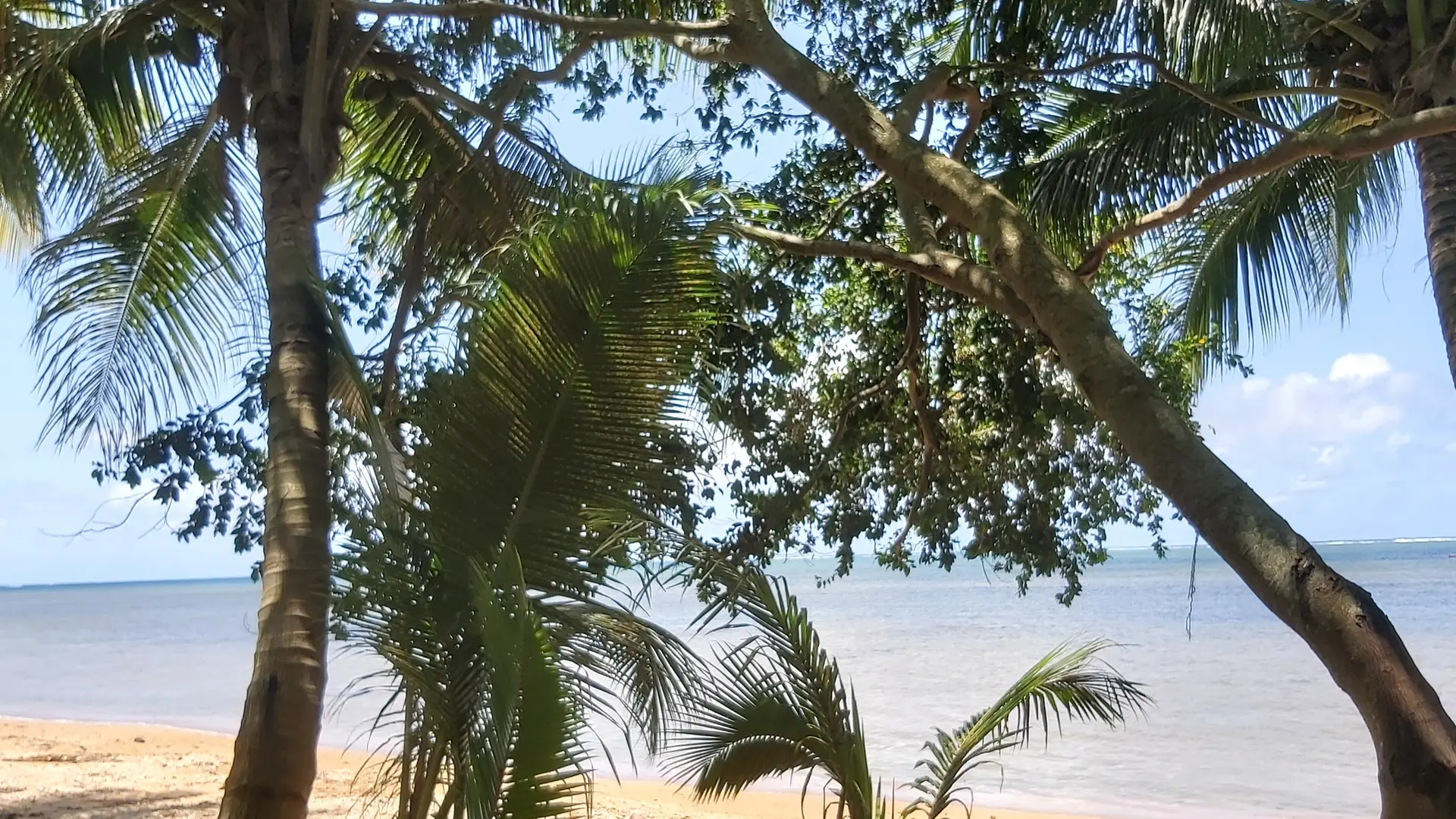 Un cadre de rêve, propice à l'abandon total à la beauté de la Nature