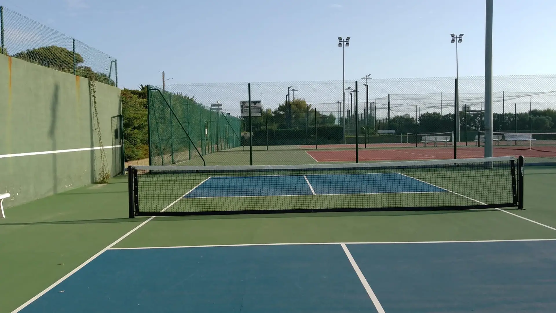 Pickleball