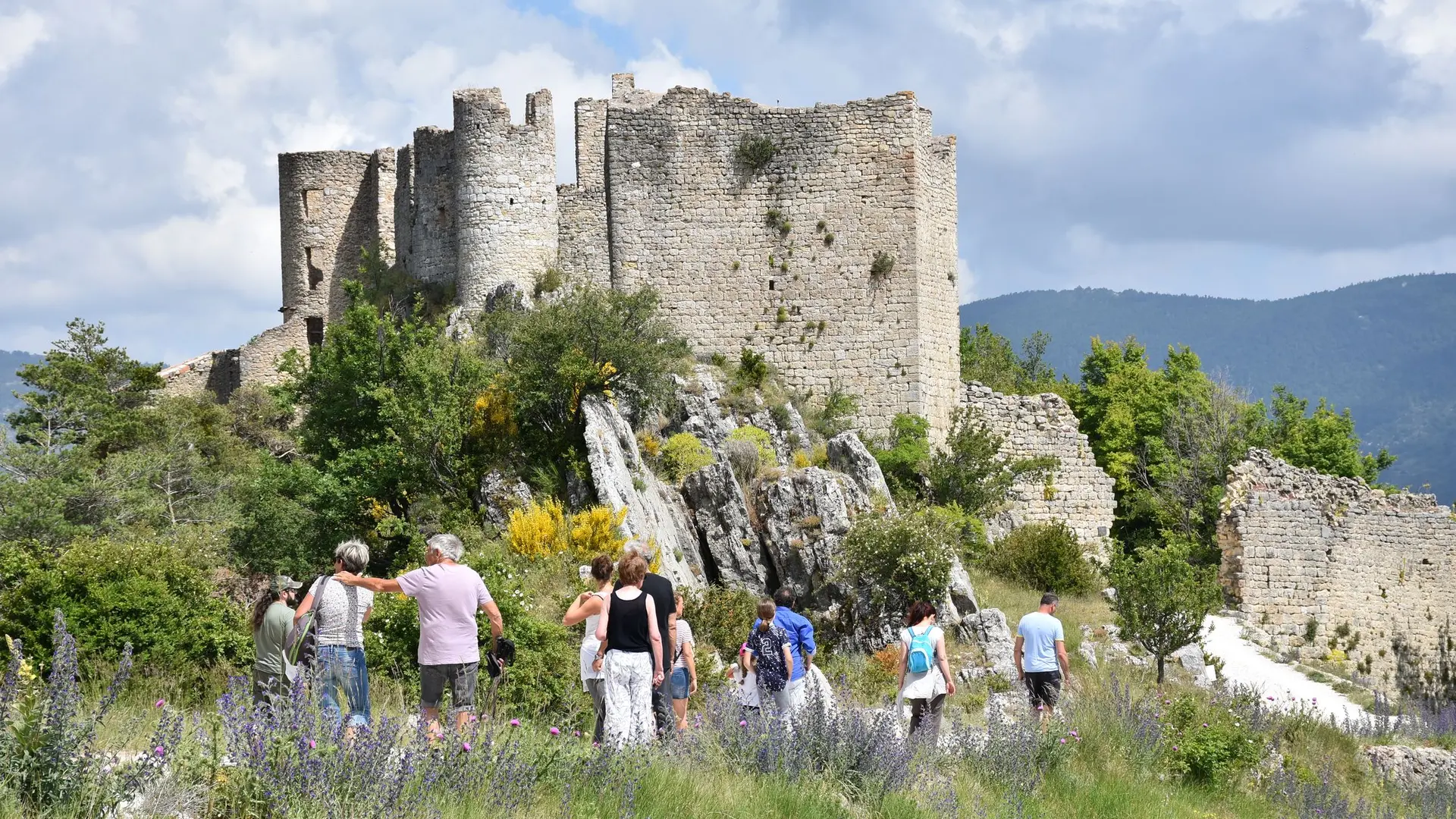 Château de Pontevès