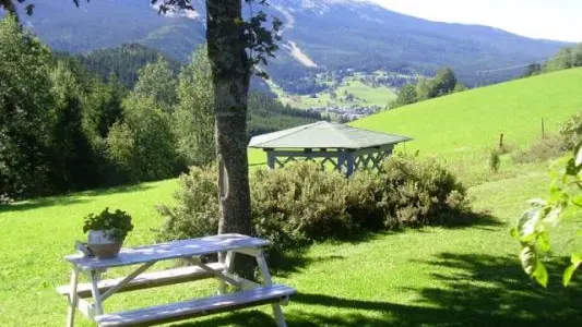 Jardin en été