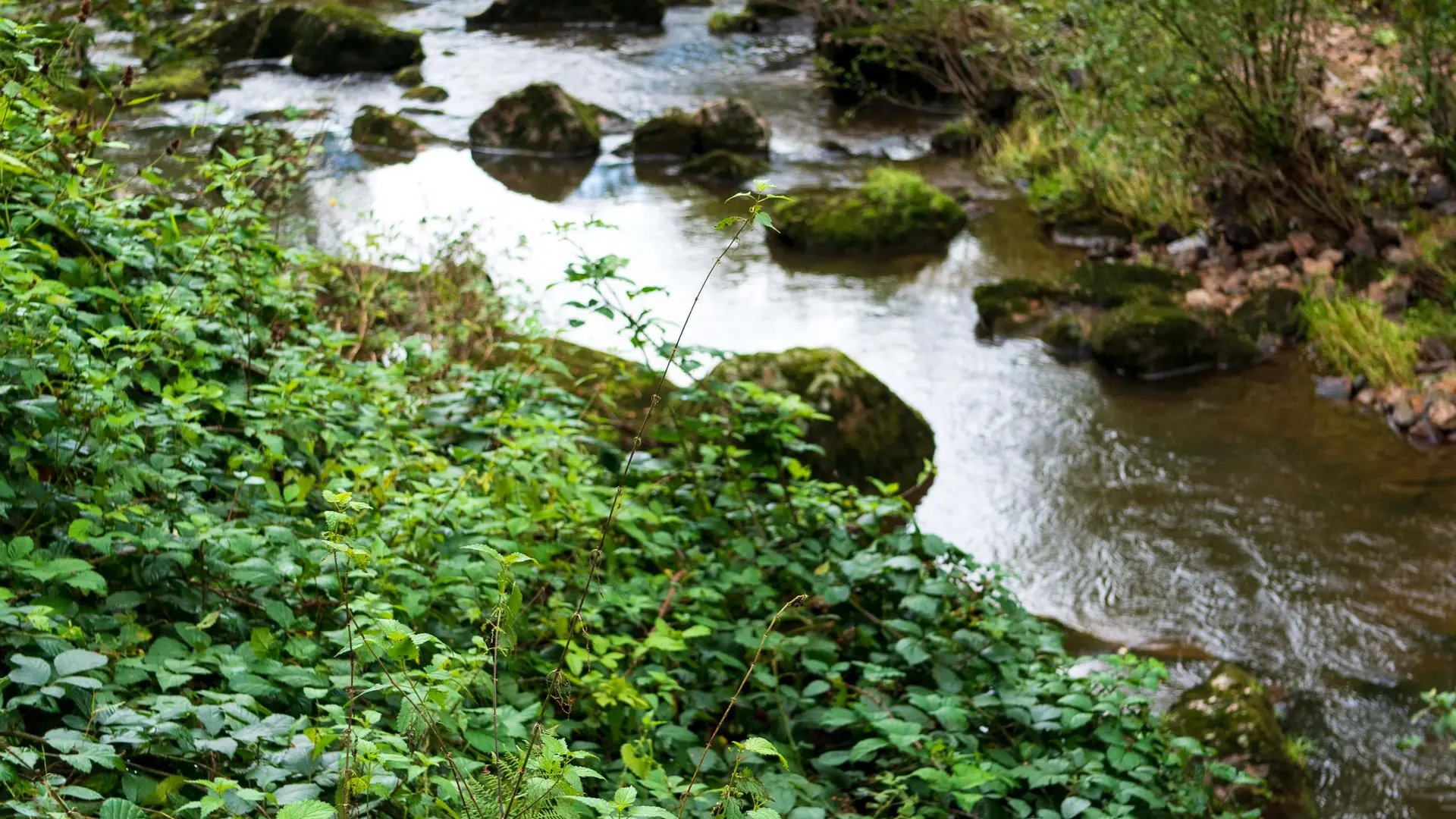 Autour du plan d'eau de Saint-Clément