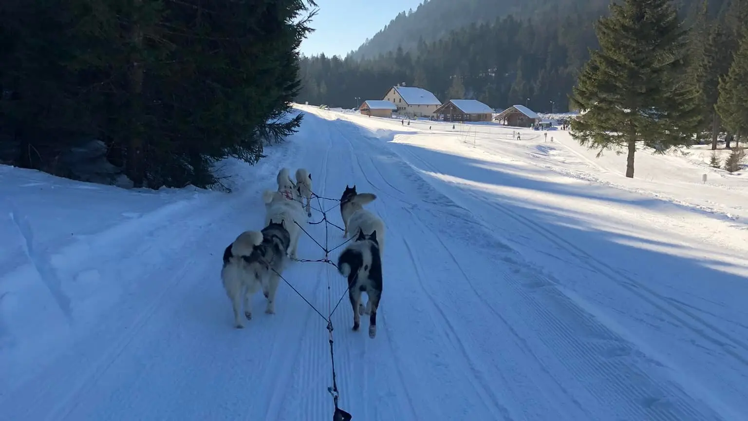 balade en traineau à chiens Hauteville