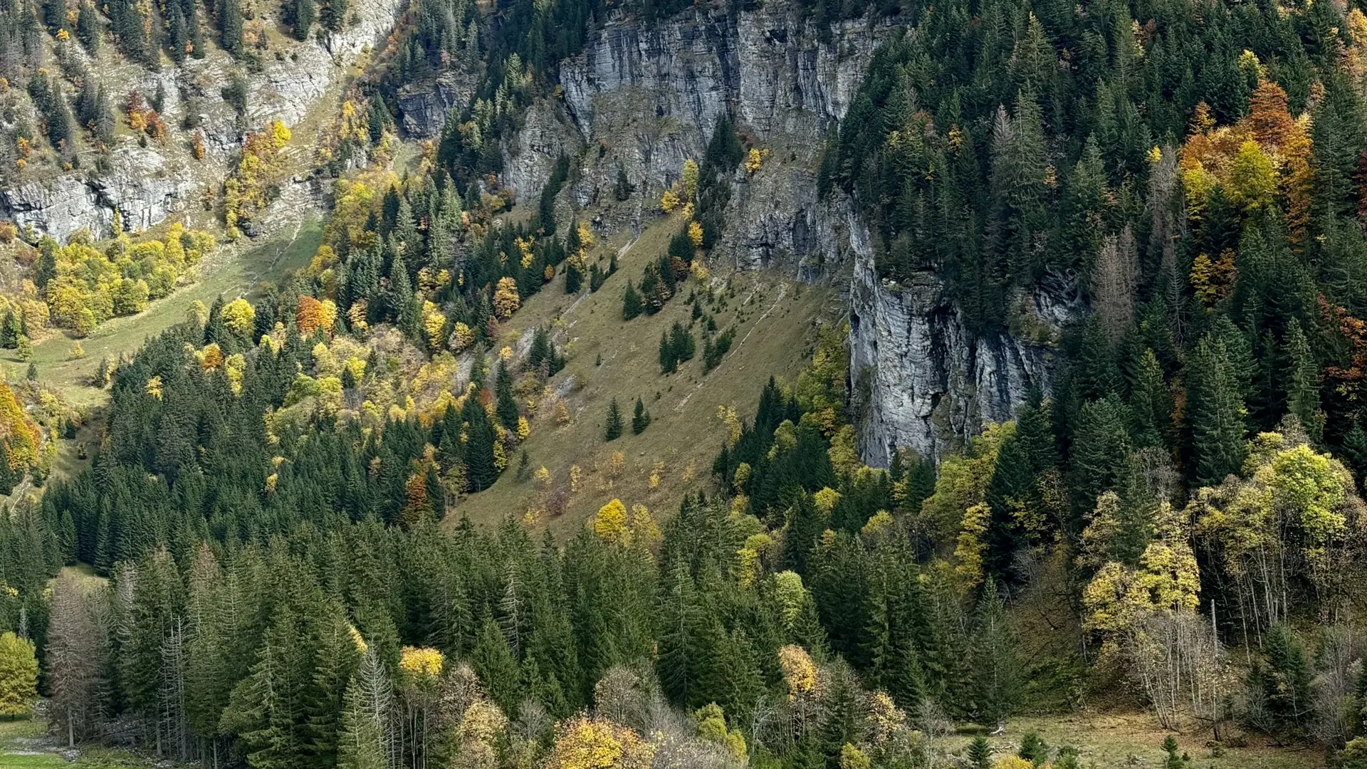 Vue automne