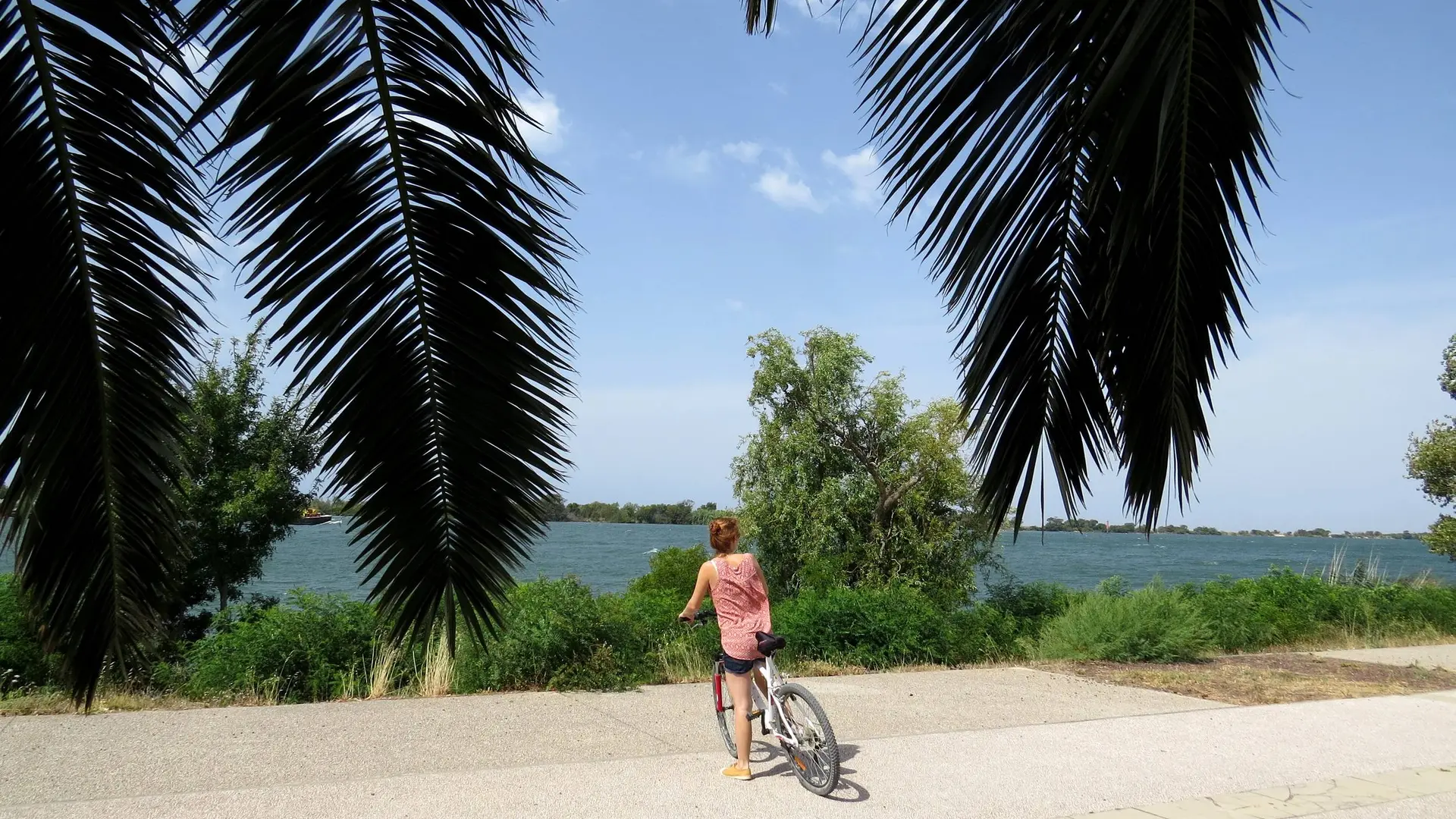 Cycliste sur les rives du Rhône