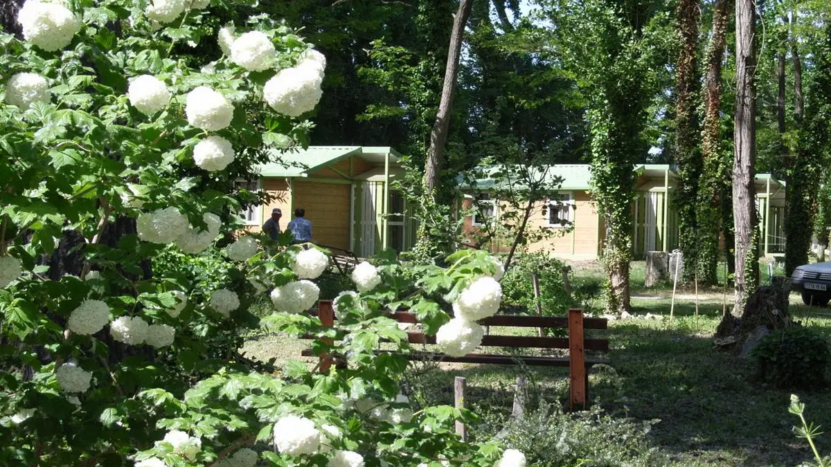 Camping du Parc des Libertés