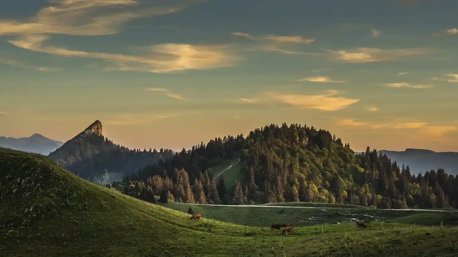La ¨Pinéa depuis le Charmant Som