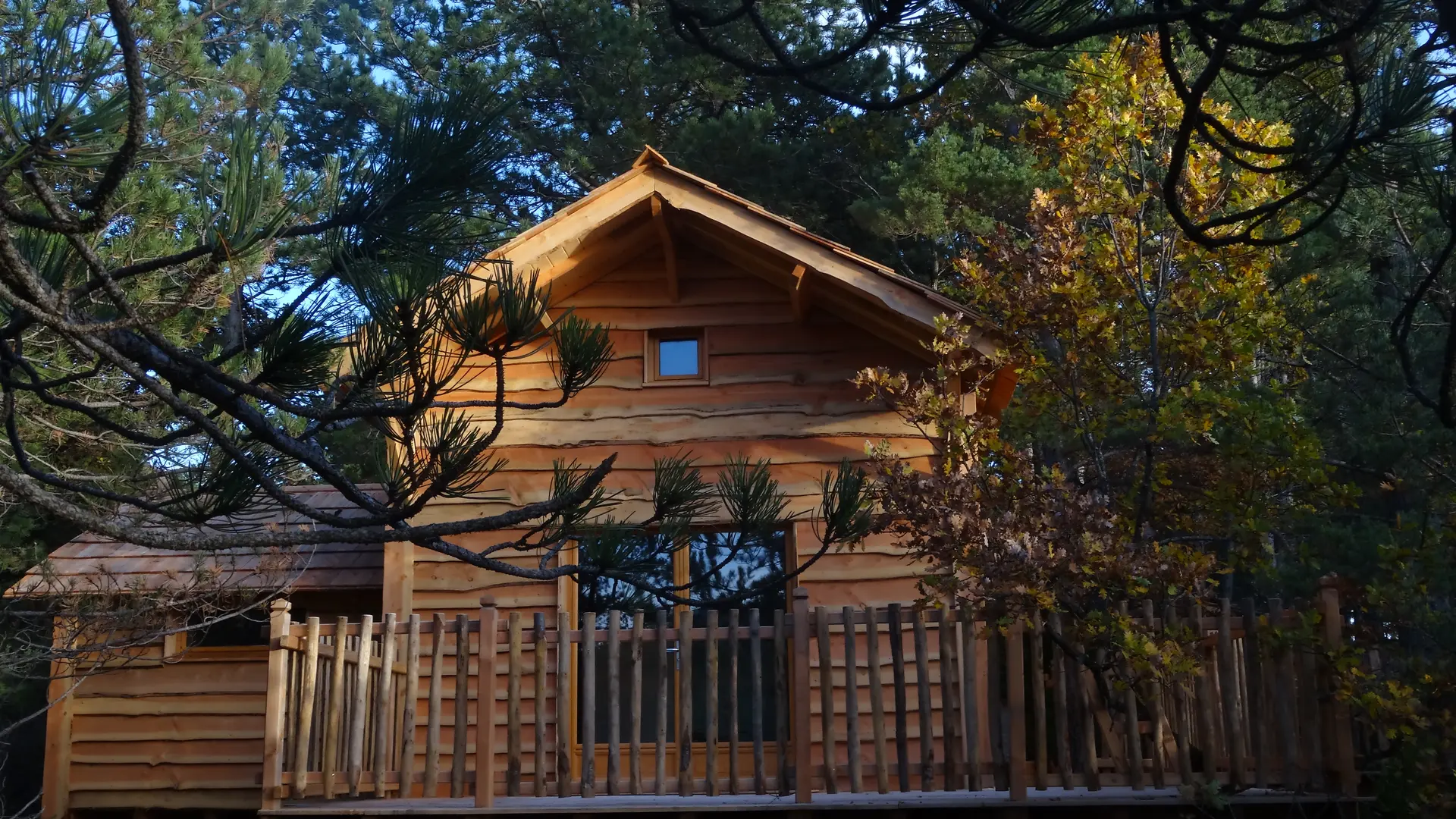 Cabane Epine vinette