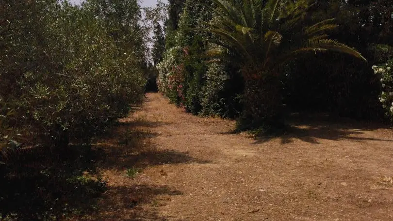 chemin d'accès