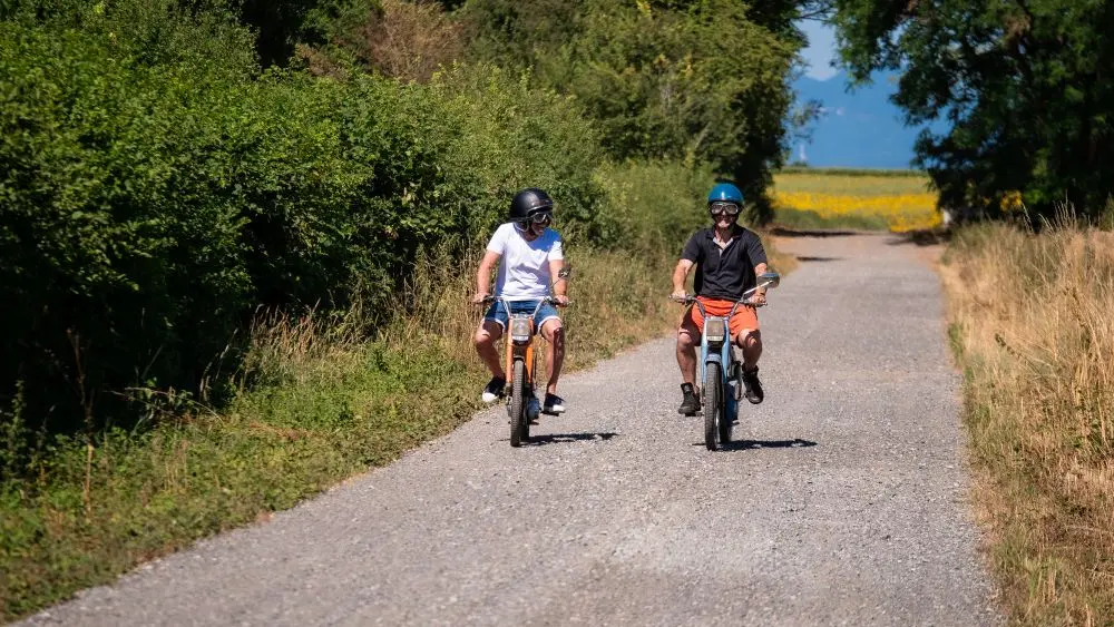 Balade sur les chemins