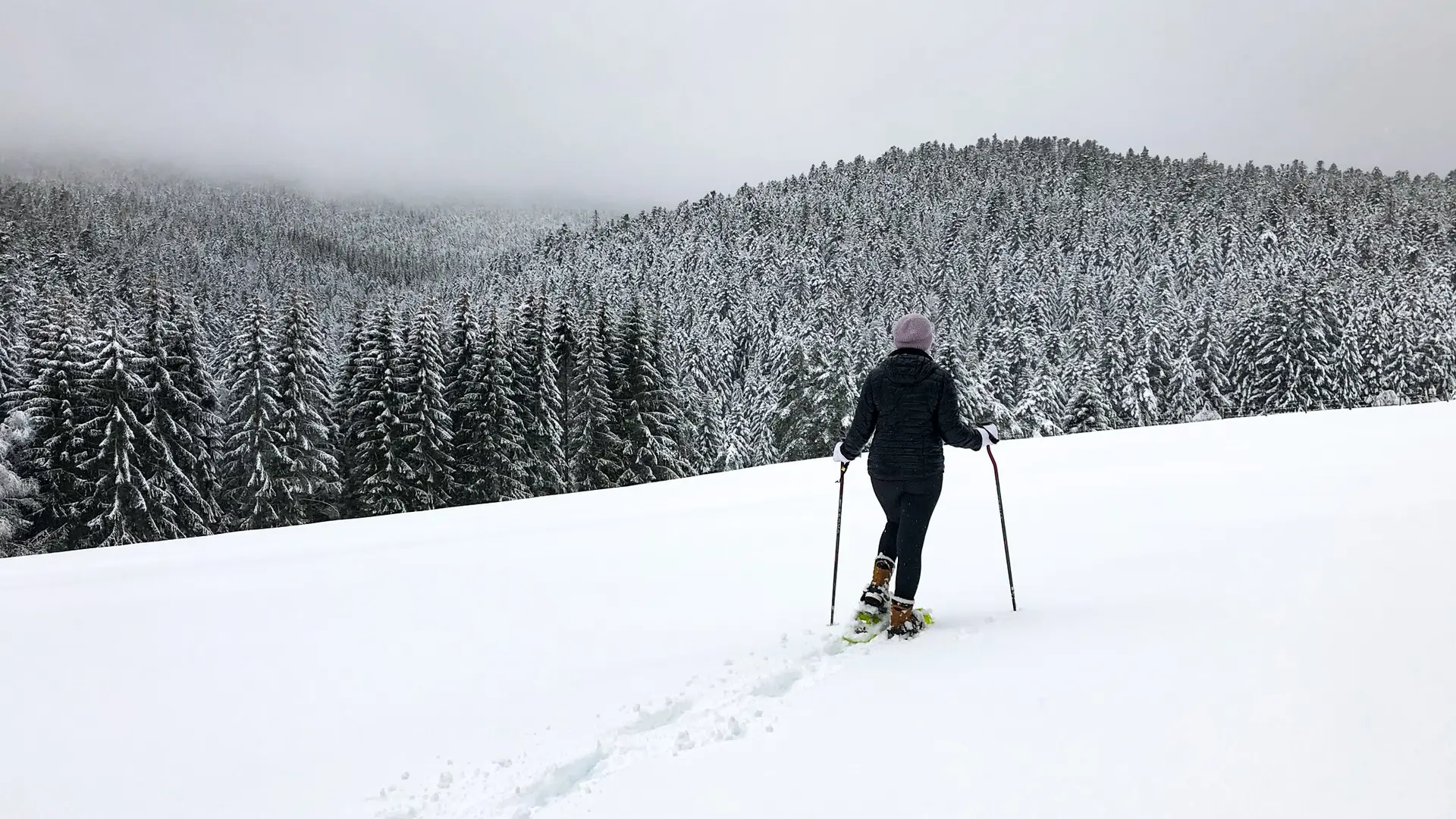 Station du Col de la Loge