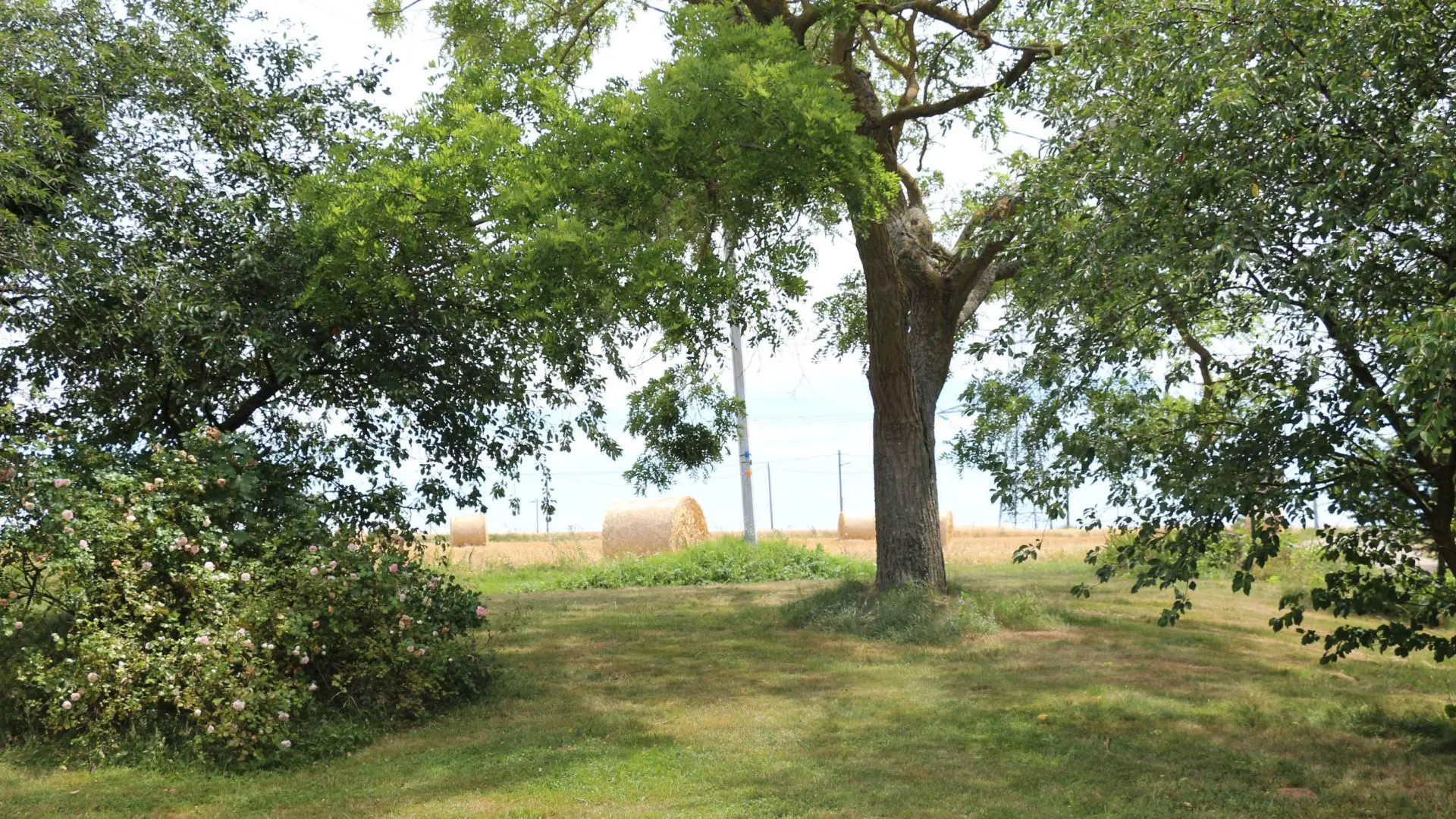 Vue du terrain devant la maison