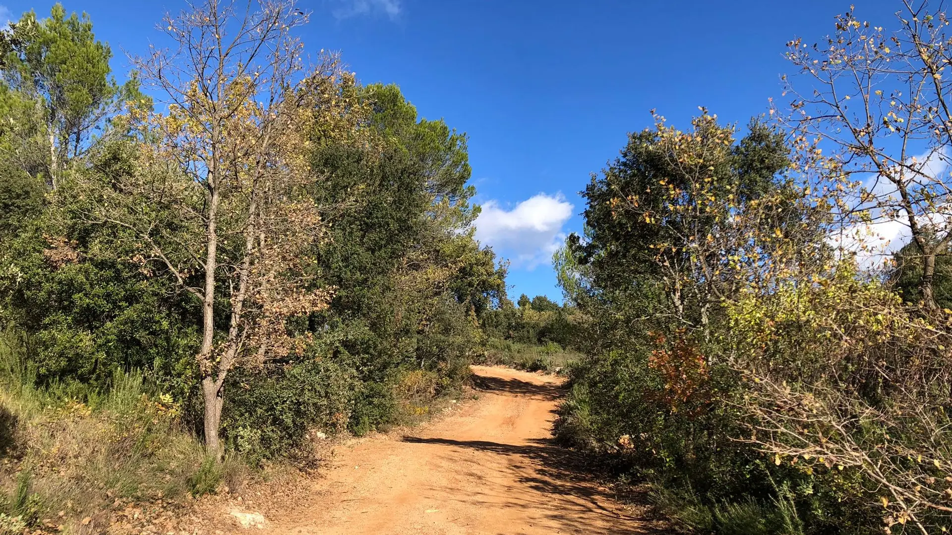 Départ de la randonnée