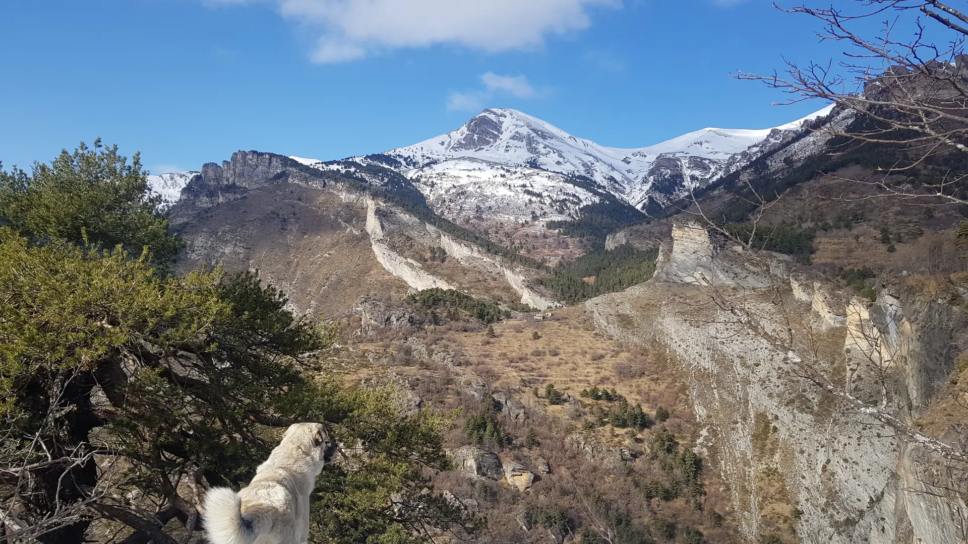Vue Pépin