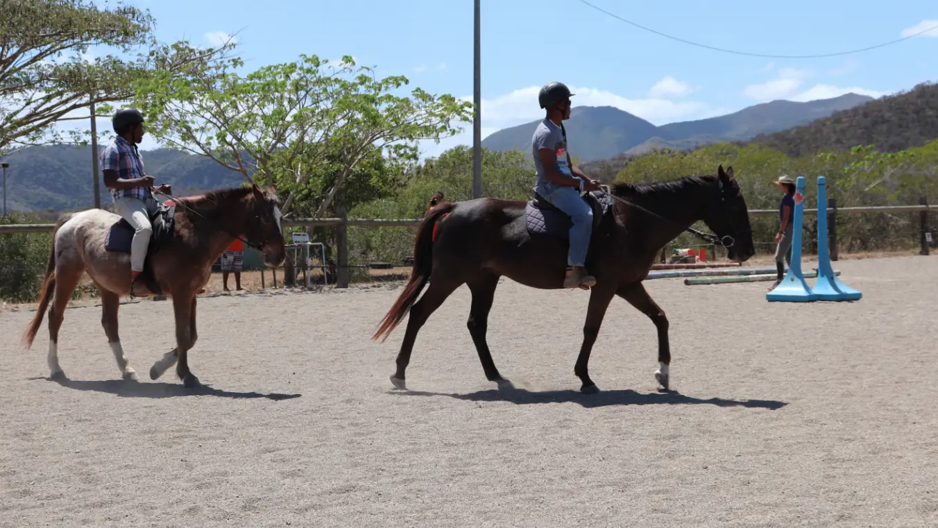 Cours d'équitation