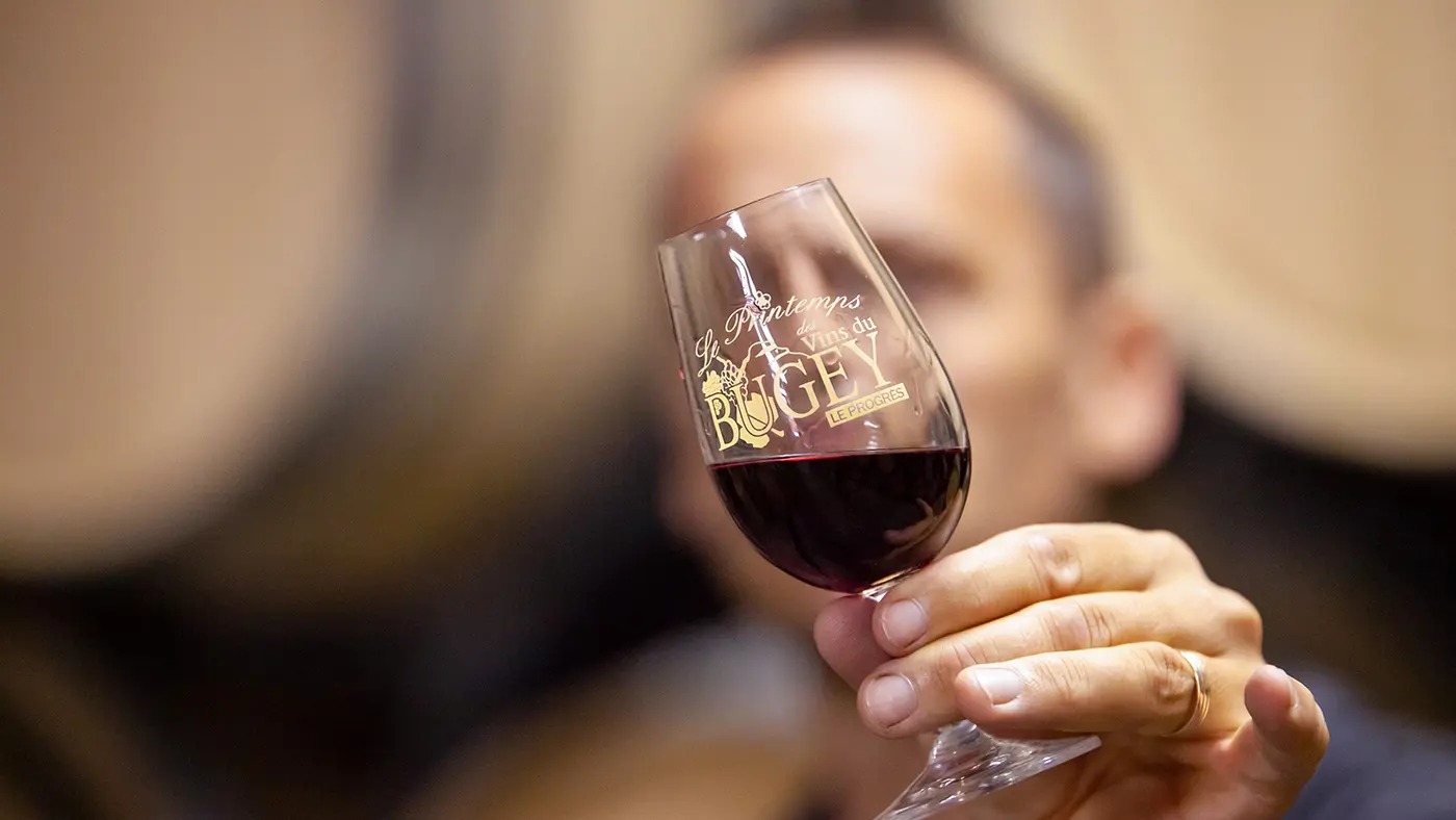 Dégustation de vin du Bugey