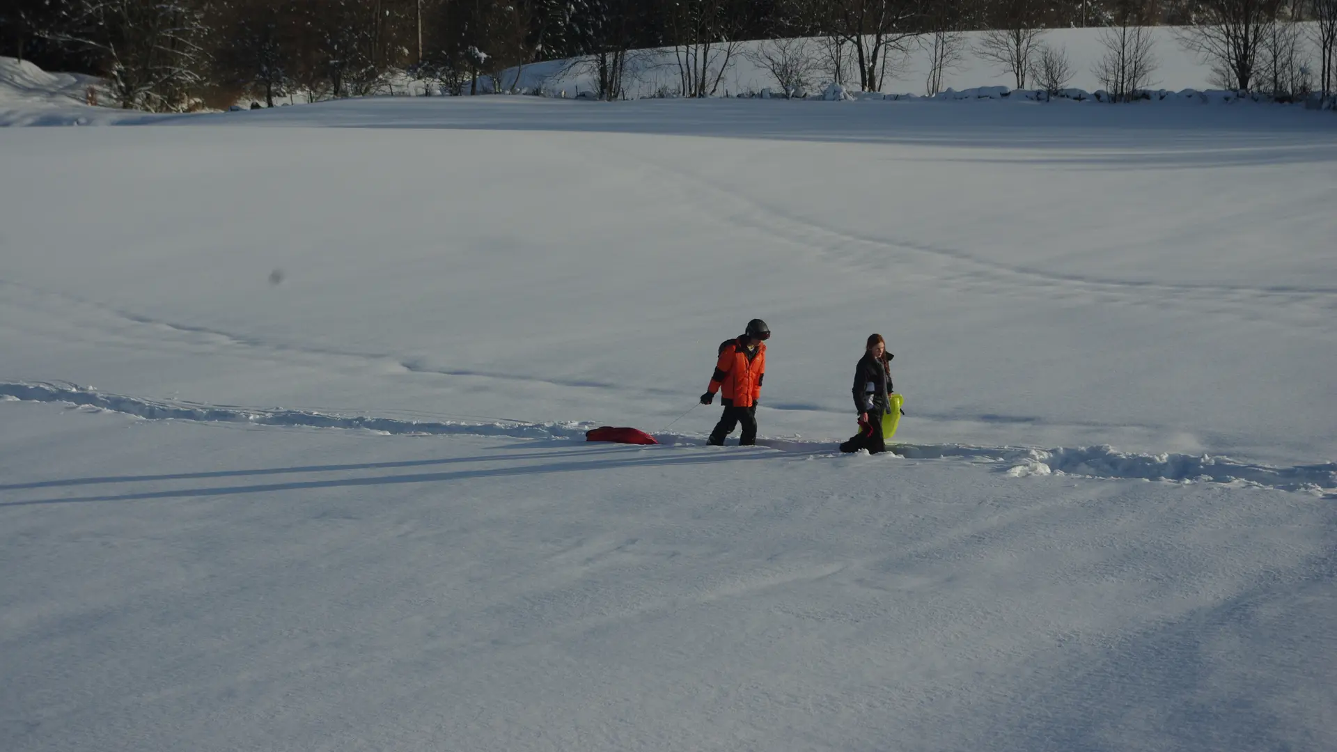 La Ferme des Taillis
