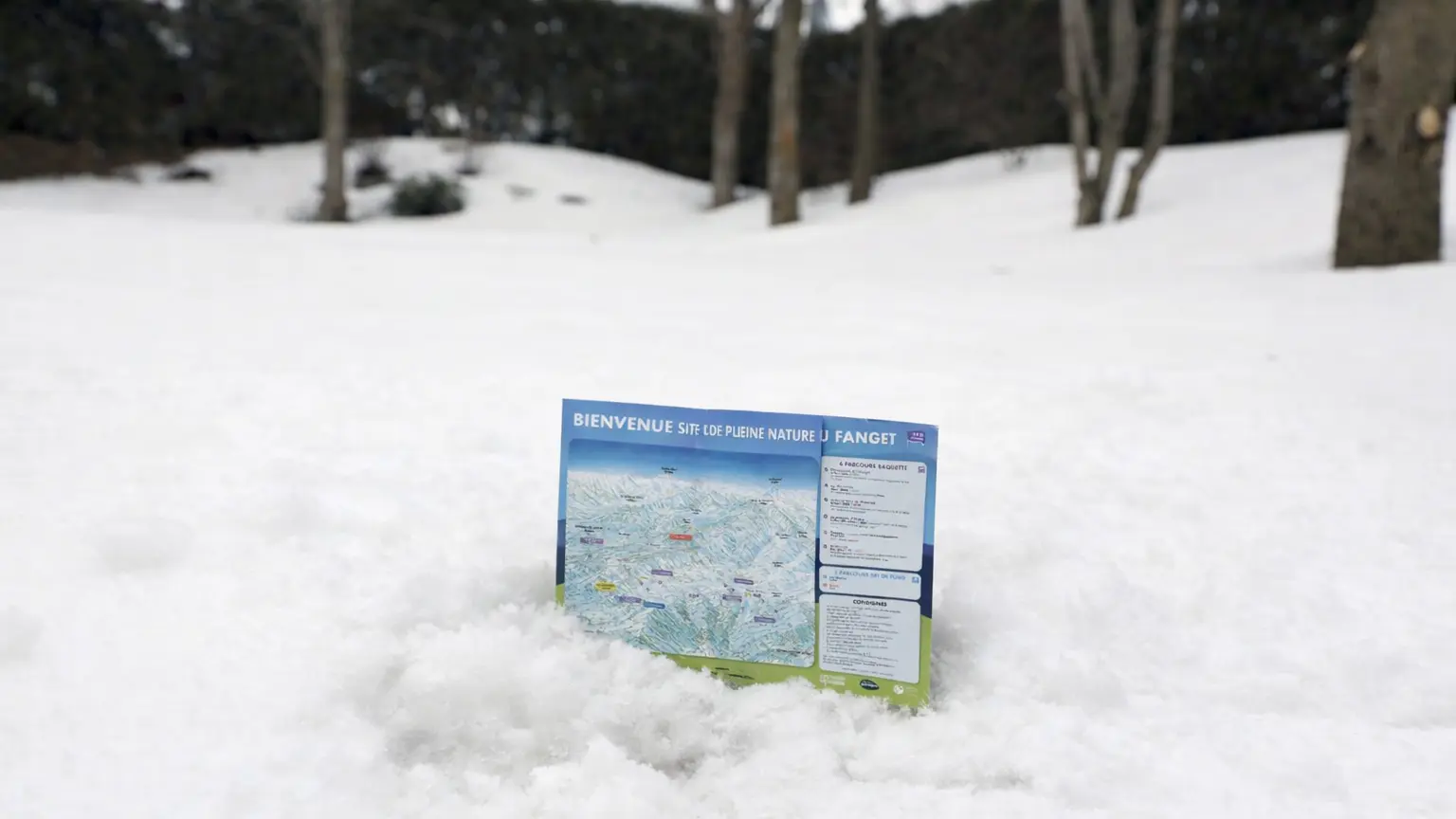 Animation Carte aux trésors des animaux_Auzet