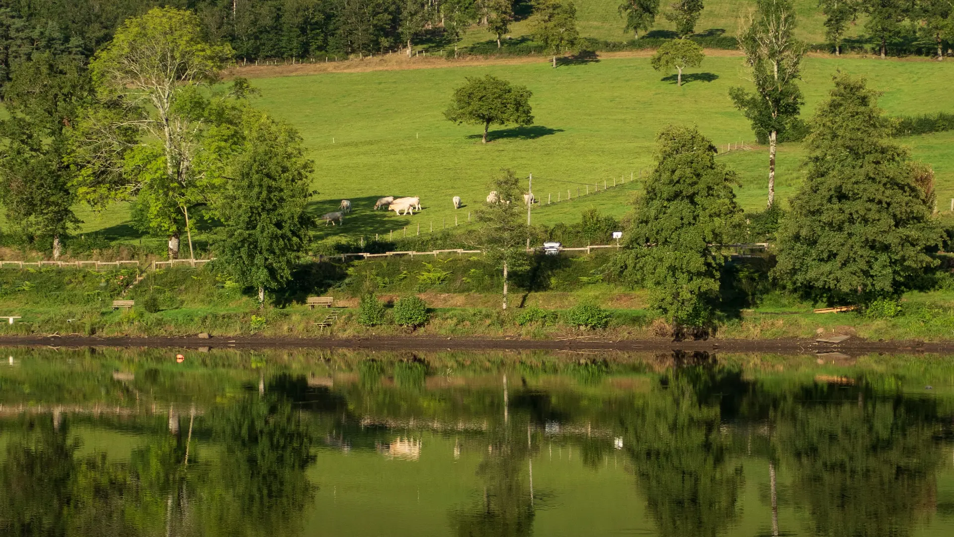 Autour du plan d'eau de Saint-Clément