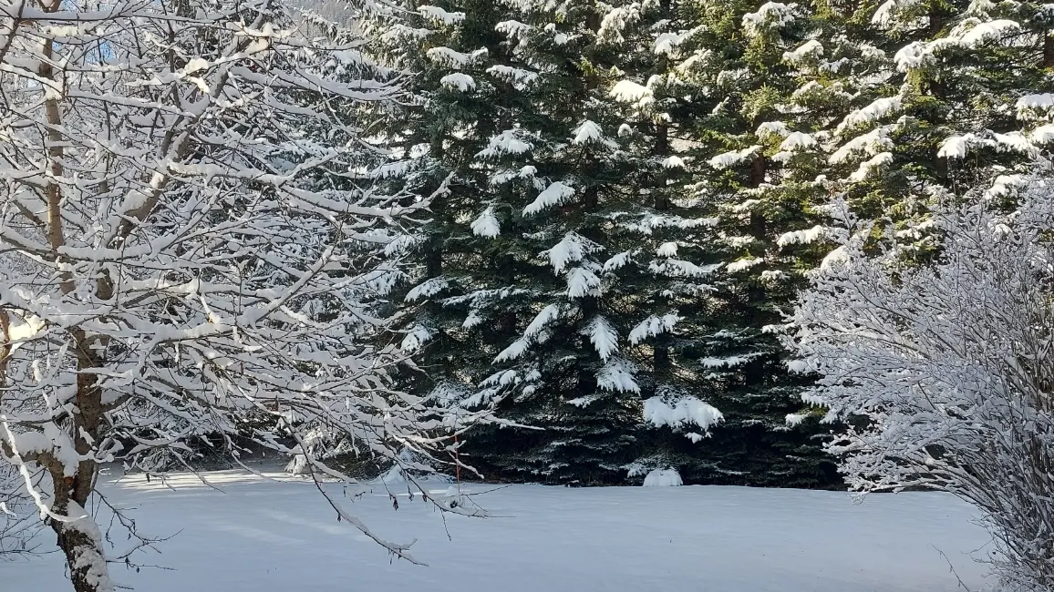 Appartement 4 personnes- Côté Jardin