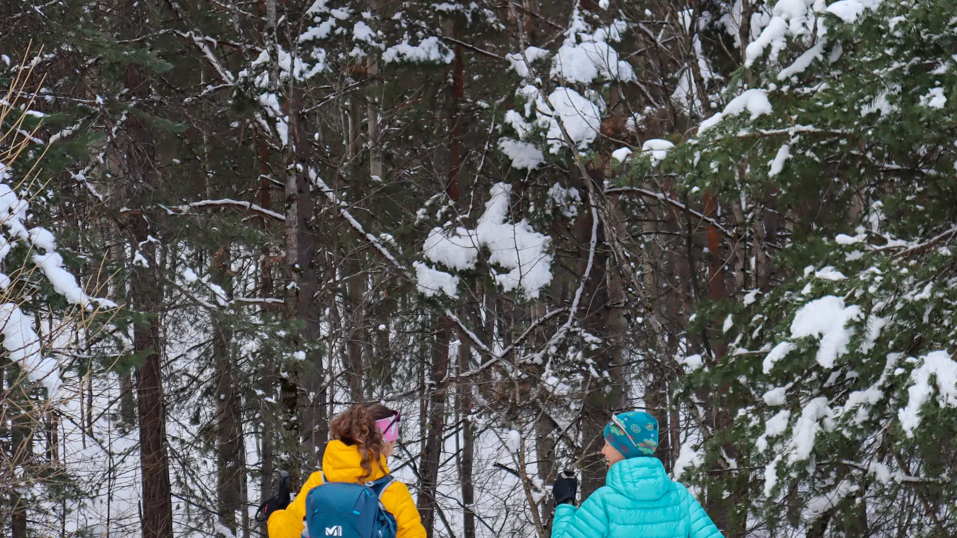 Raquettes Villard St Pancrace