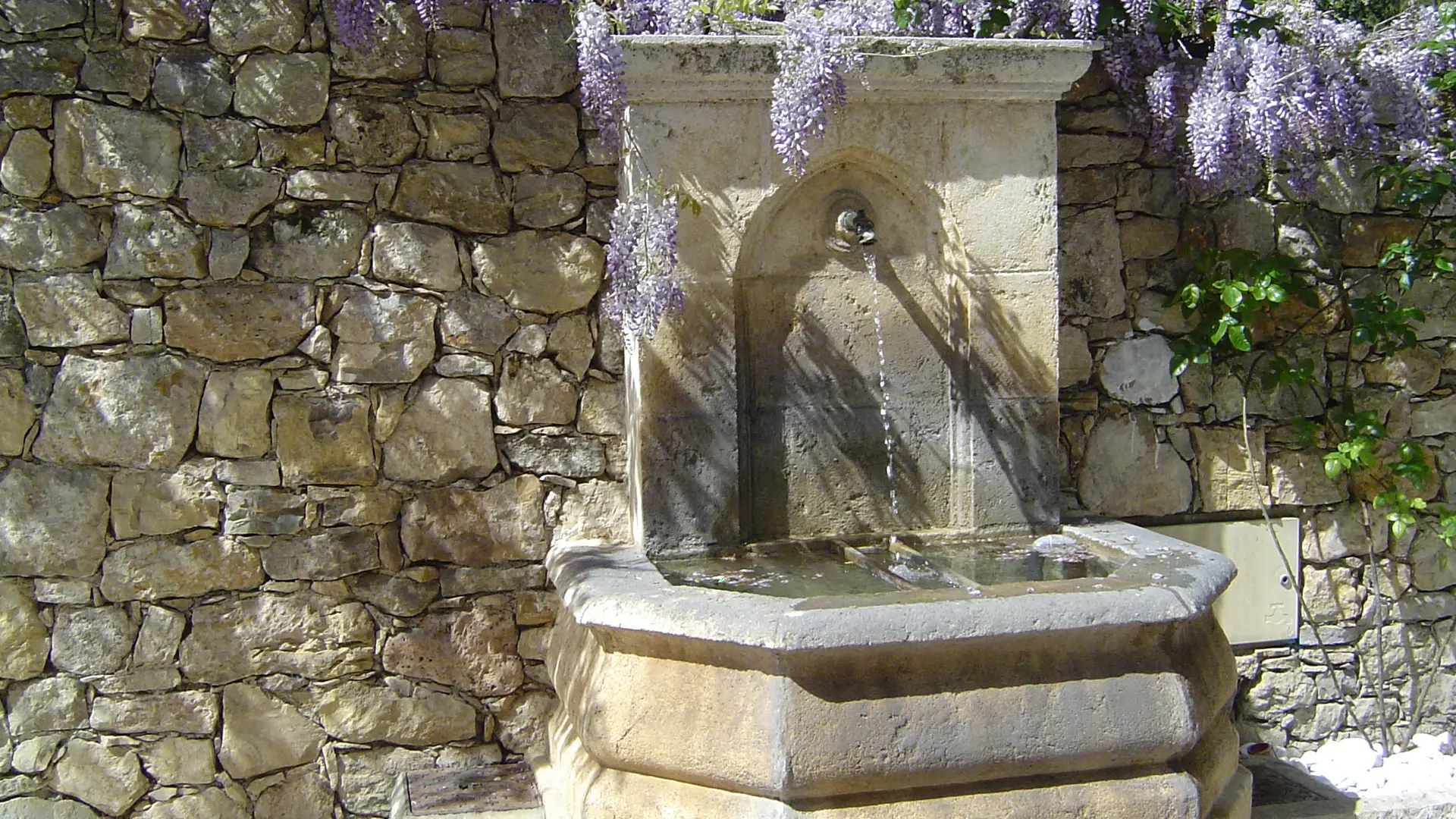 fontaine et glycine