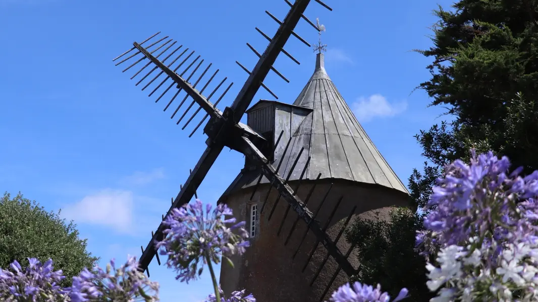 Bel Air Mill and colorful flowers