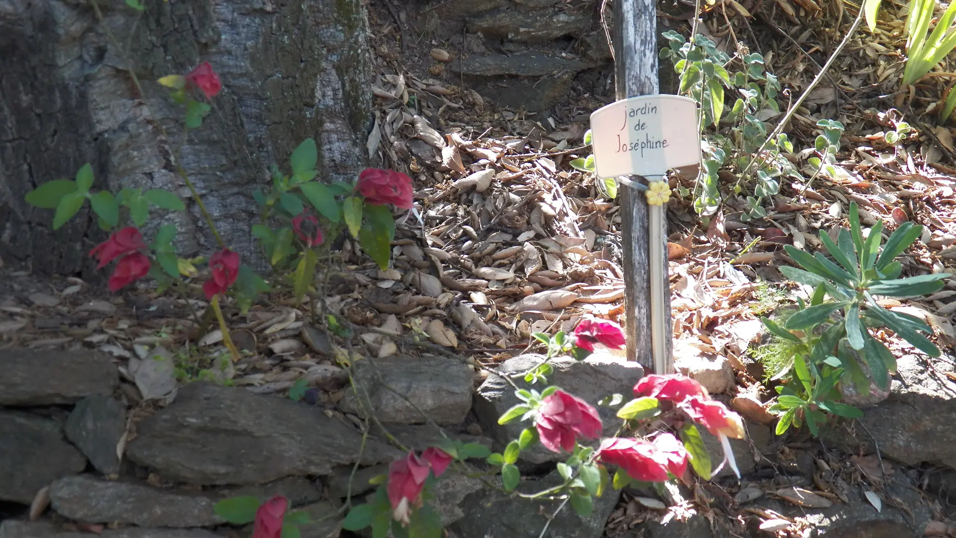 Jardin remarquable L'Hardy à Gassin - https://gassin.eu