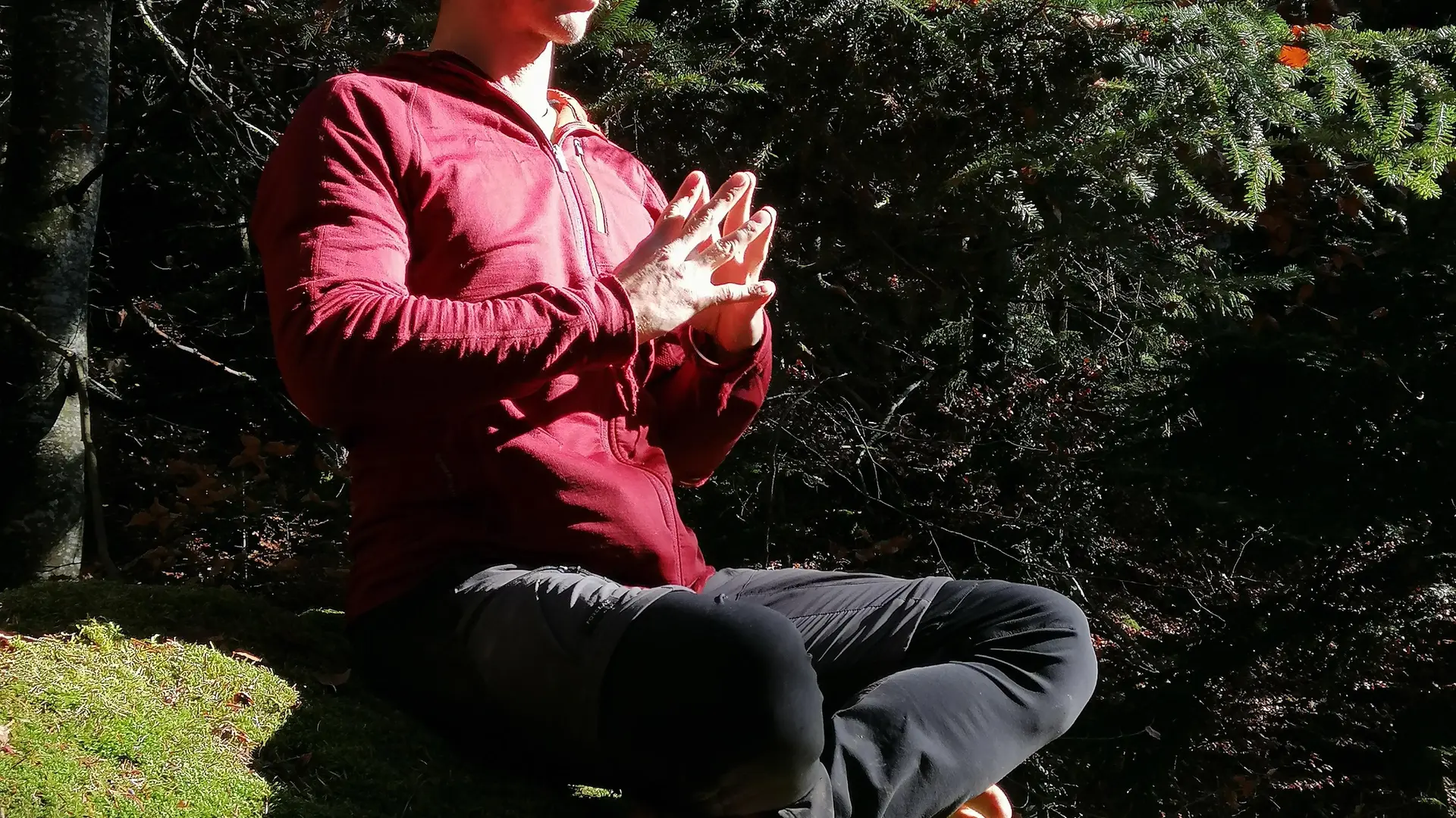 yoga, reconnexion avec l'esprit et la nature