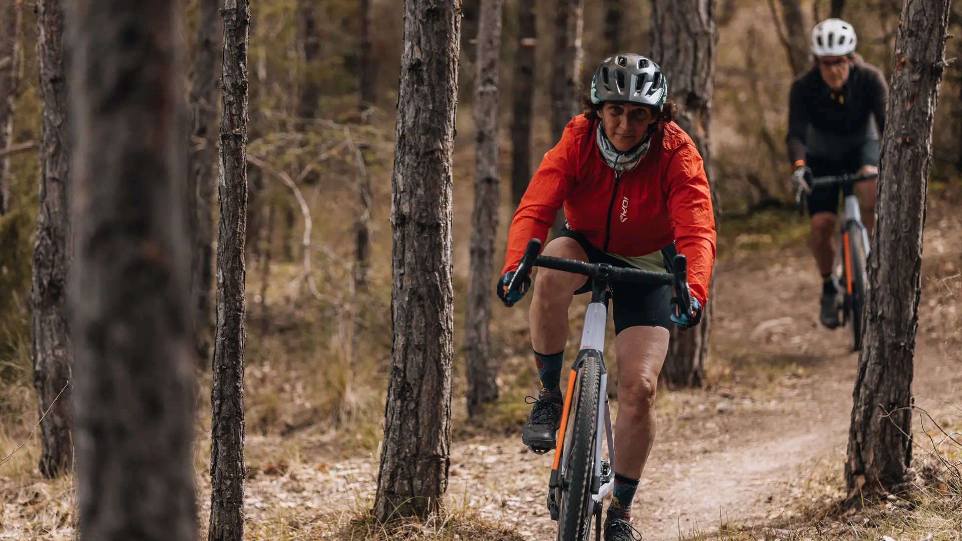 Forêt de Mallemoisson