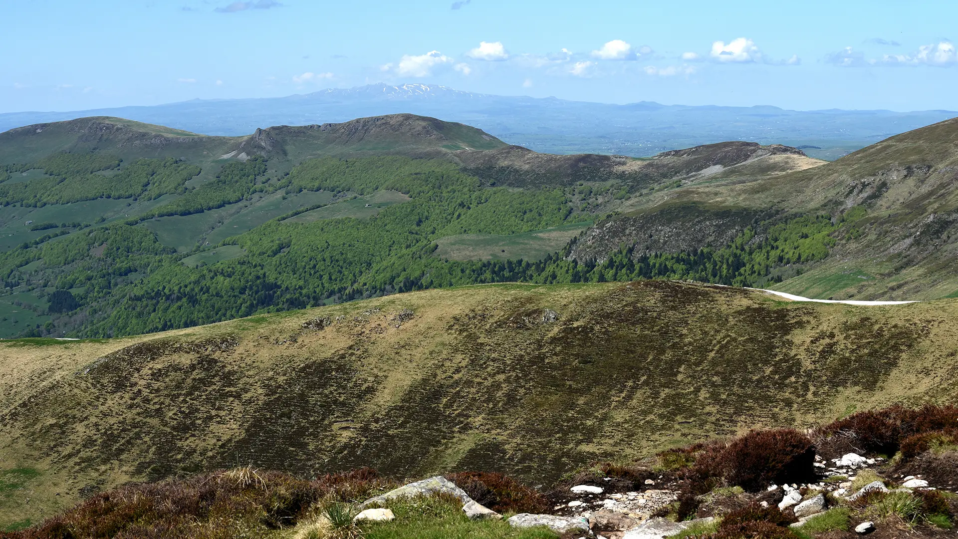 Massif du Sancy