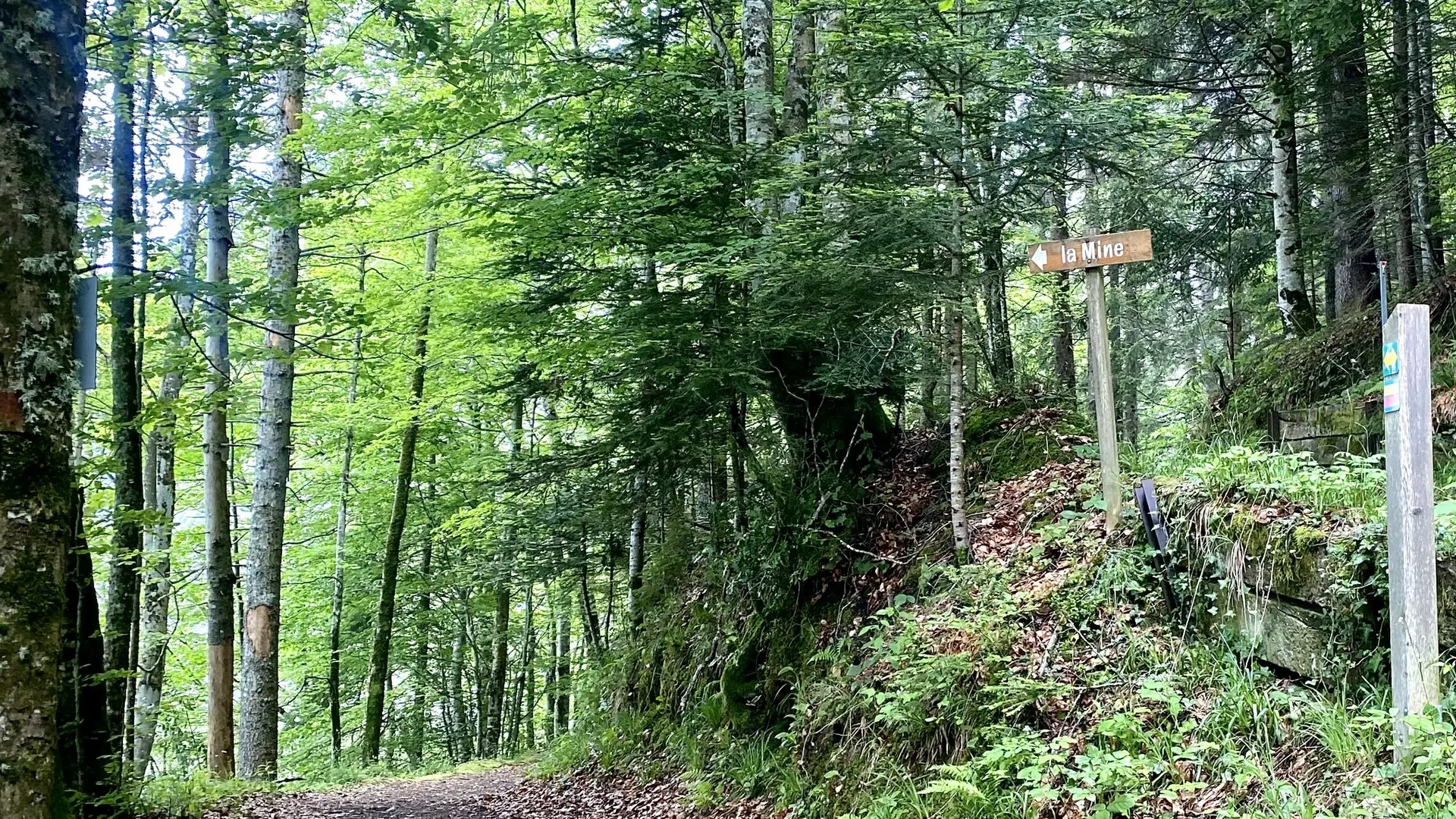 Croisement chemin de la Mine