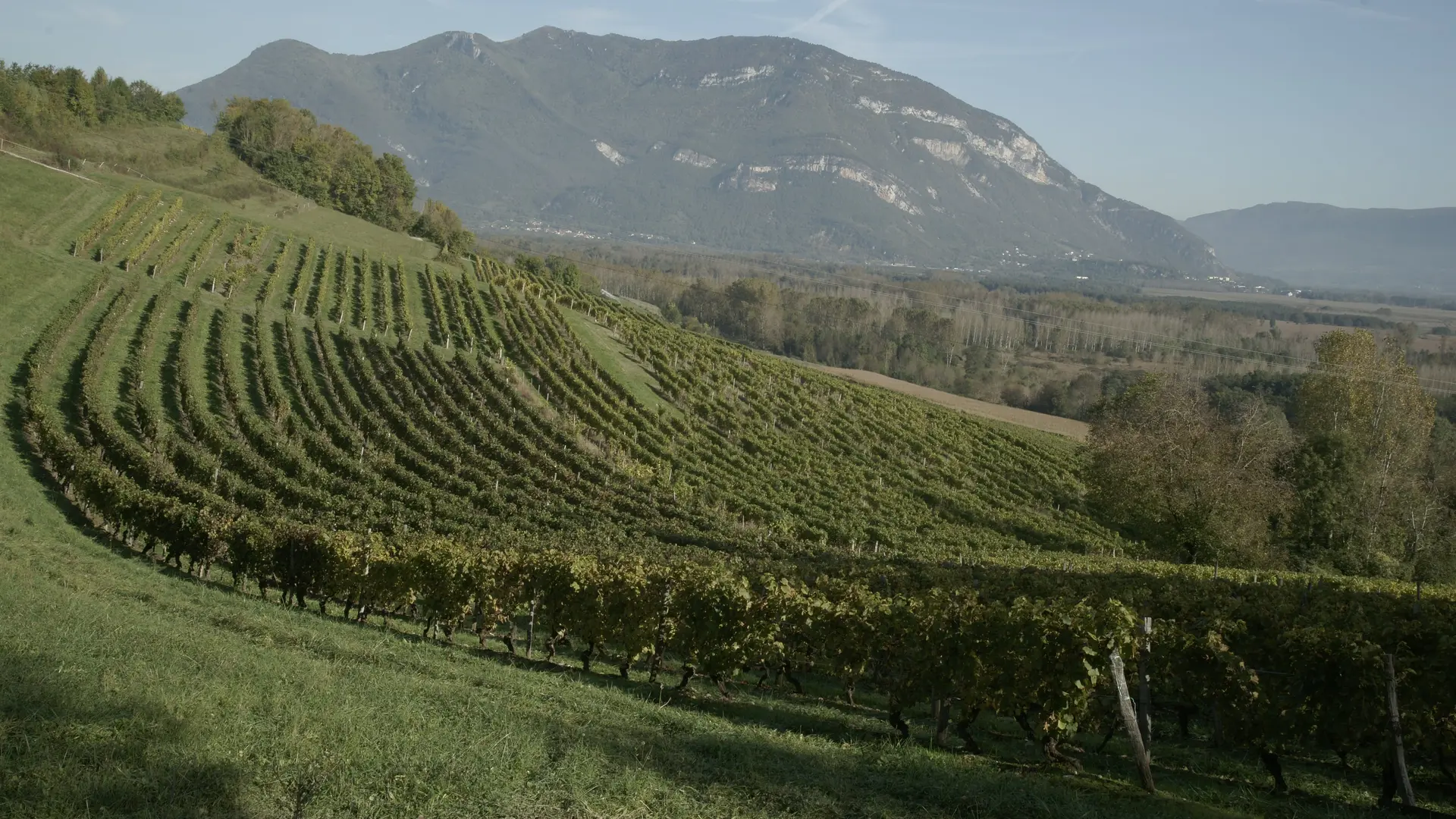 coteau de pomont à flaxieu