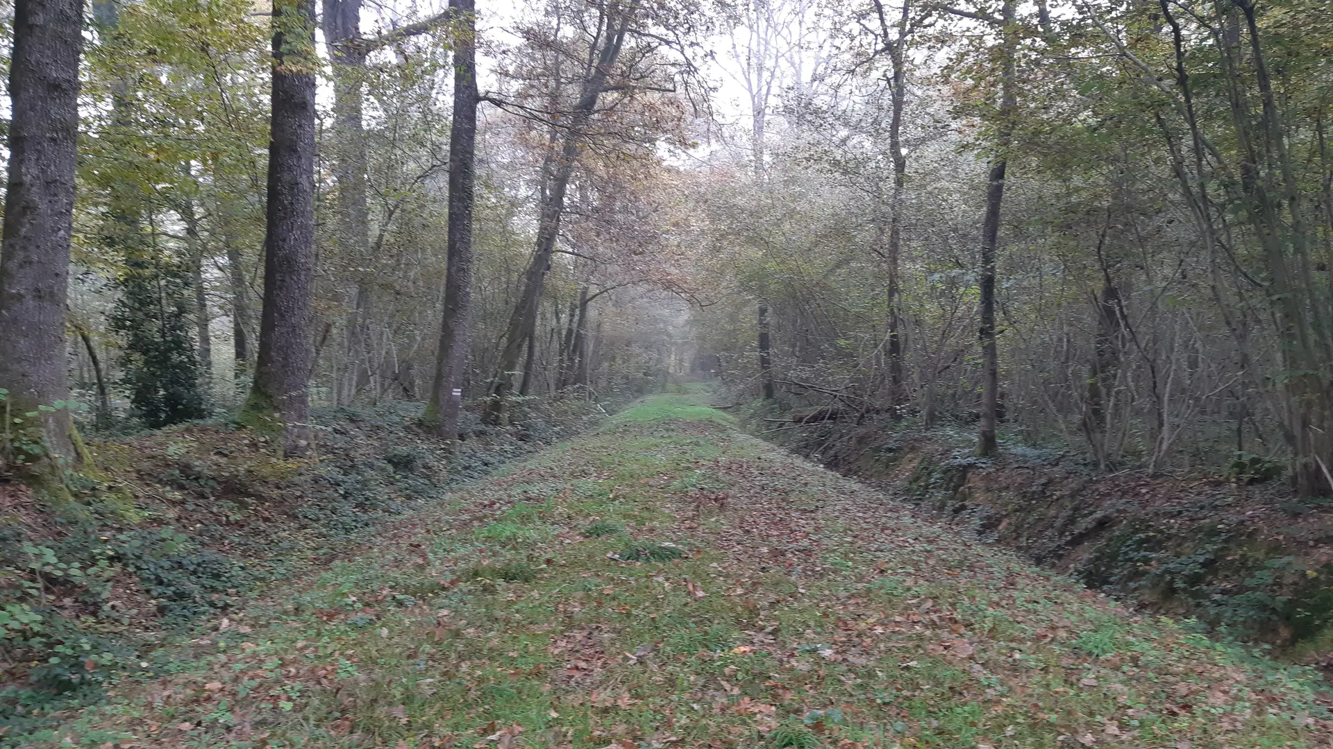 Villemotier