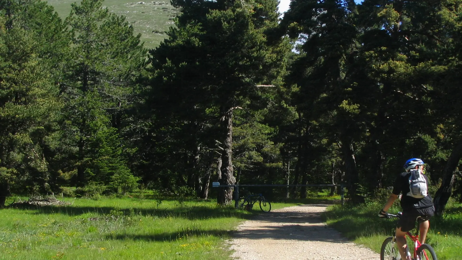 De belles prairies alpines bordent le sentier