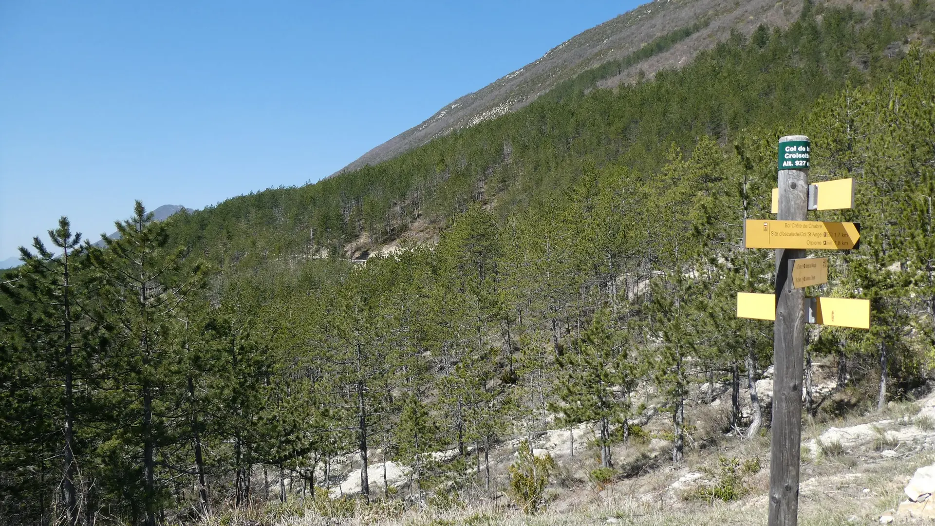 Forêt domaniale de la Méouge