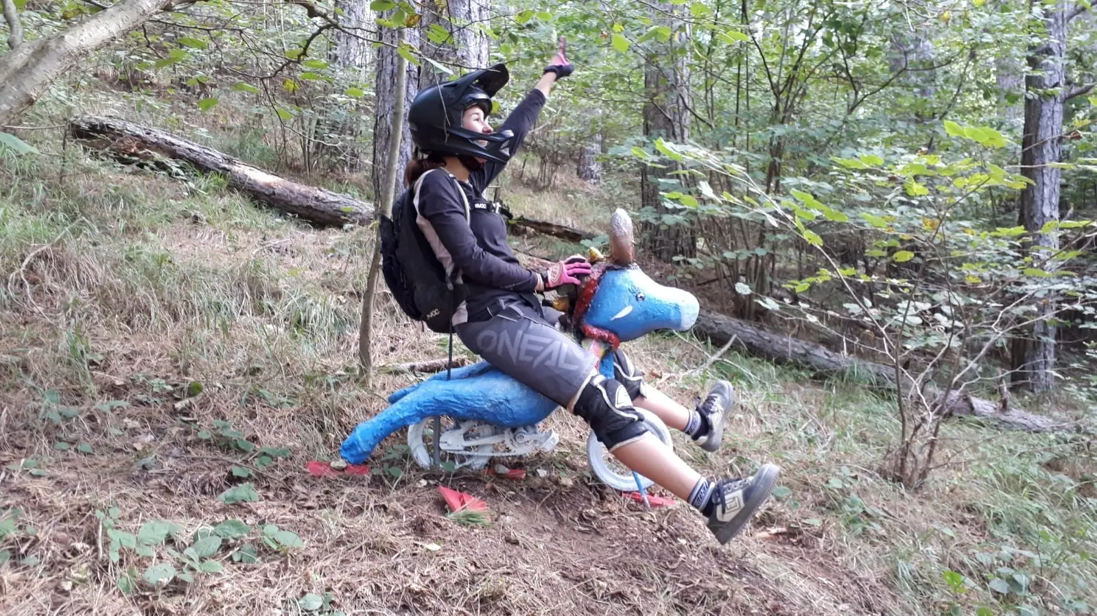 rando foret