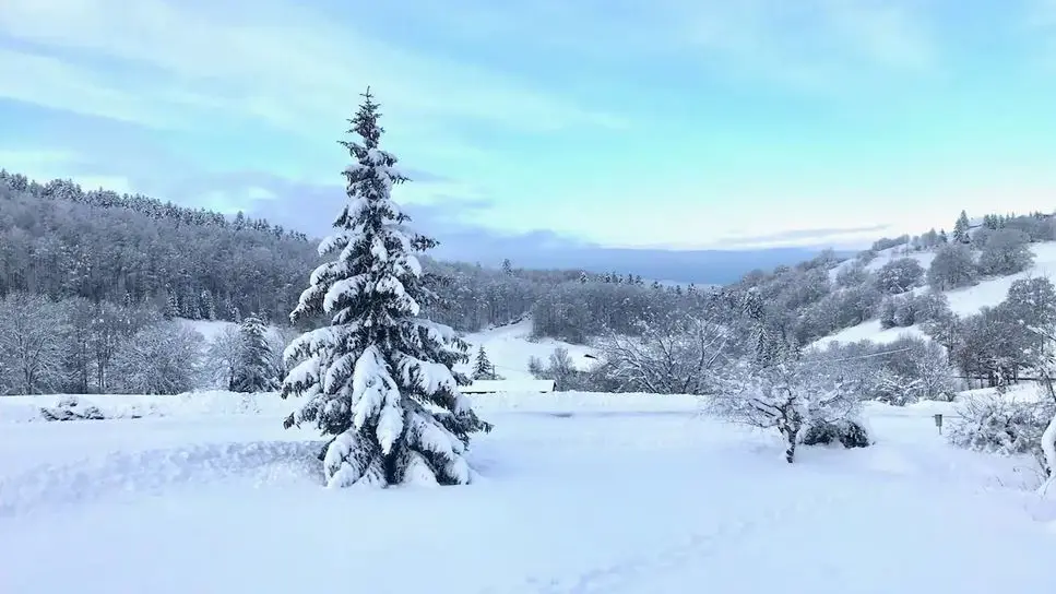 Vue du Balcon