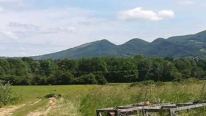Vue de la nature environnante