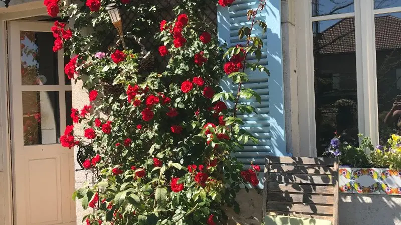 Chambres d'hôtes des 2 lacs