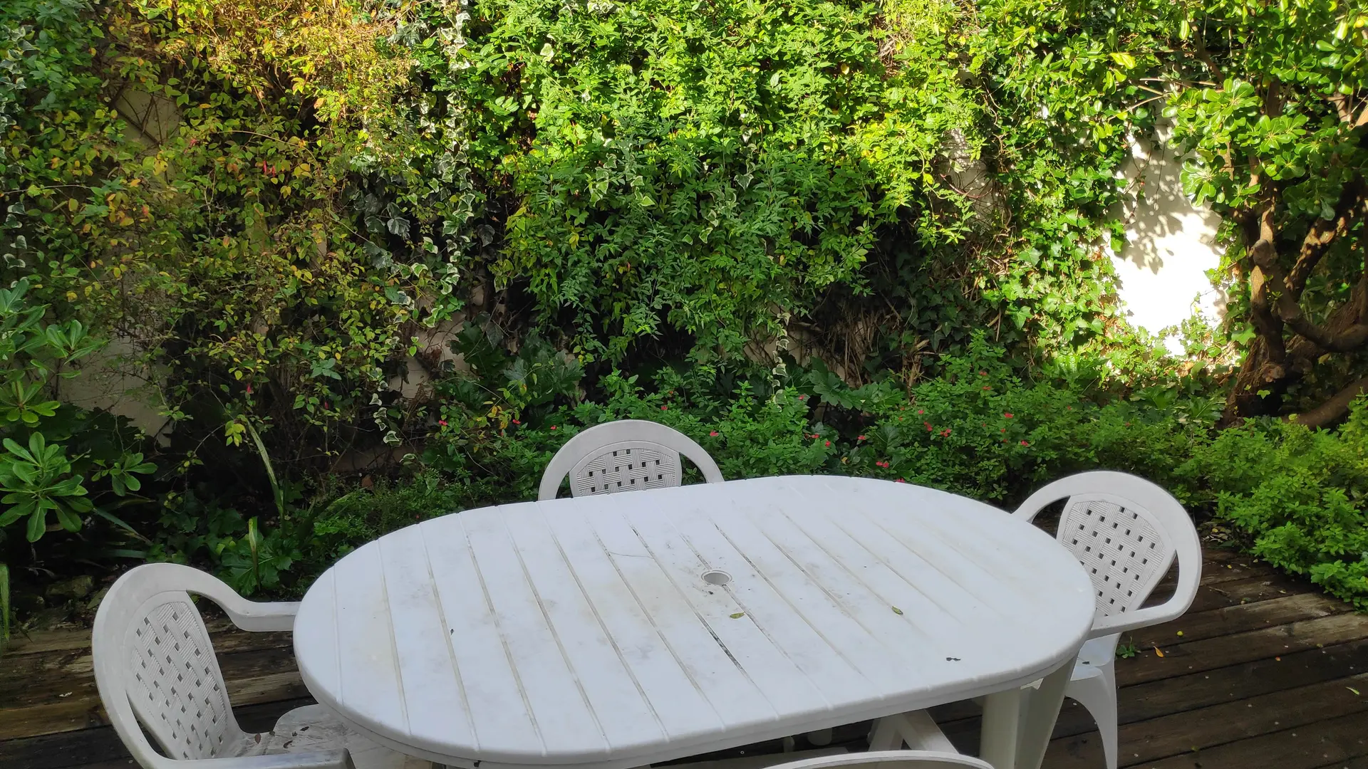 Holzterrasse und Esstisch