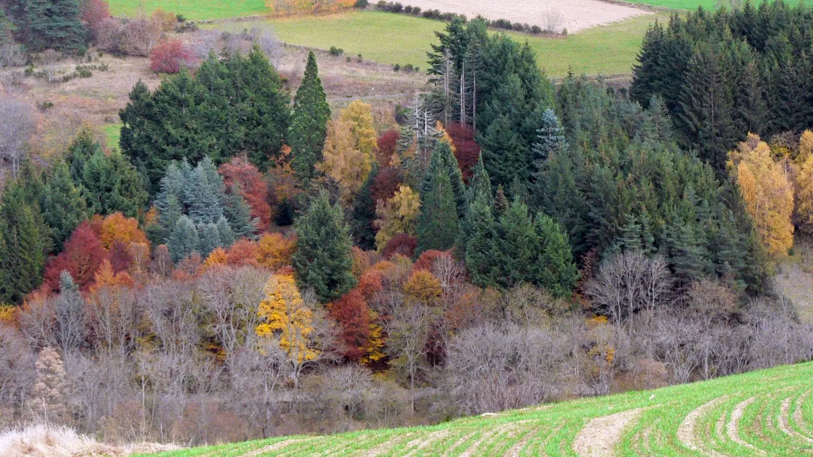 Vue extérieur