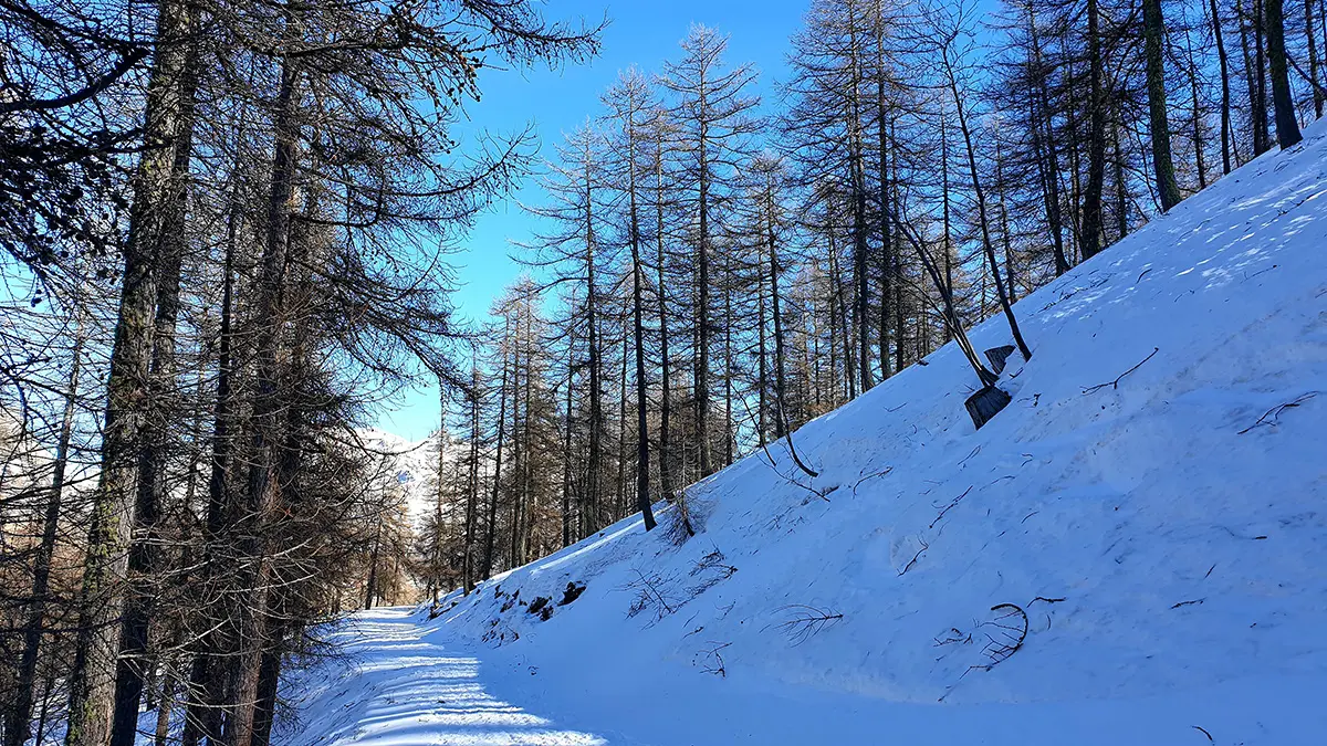 parcours raquettes valdemars